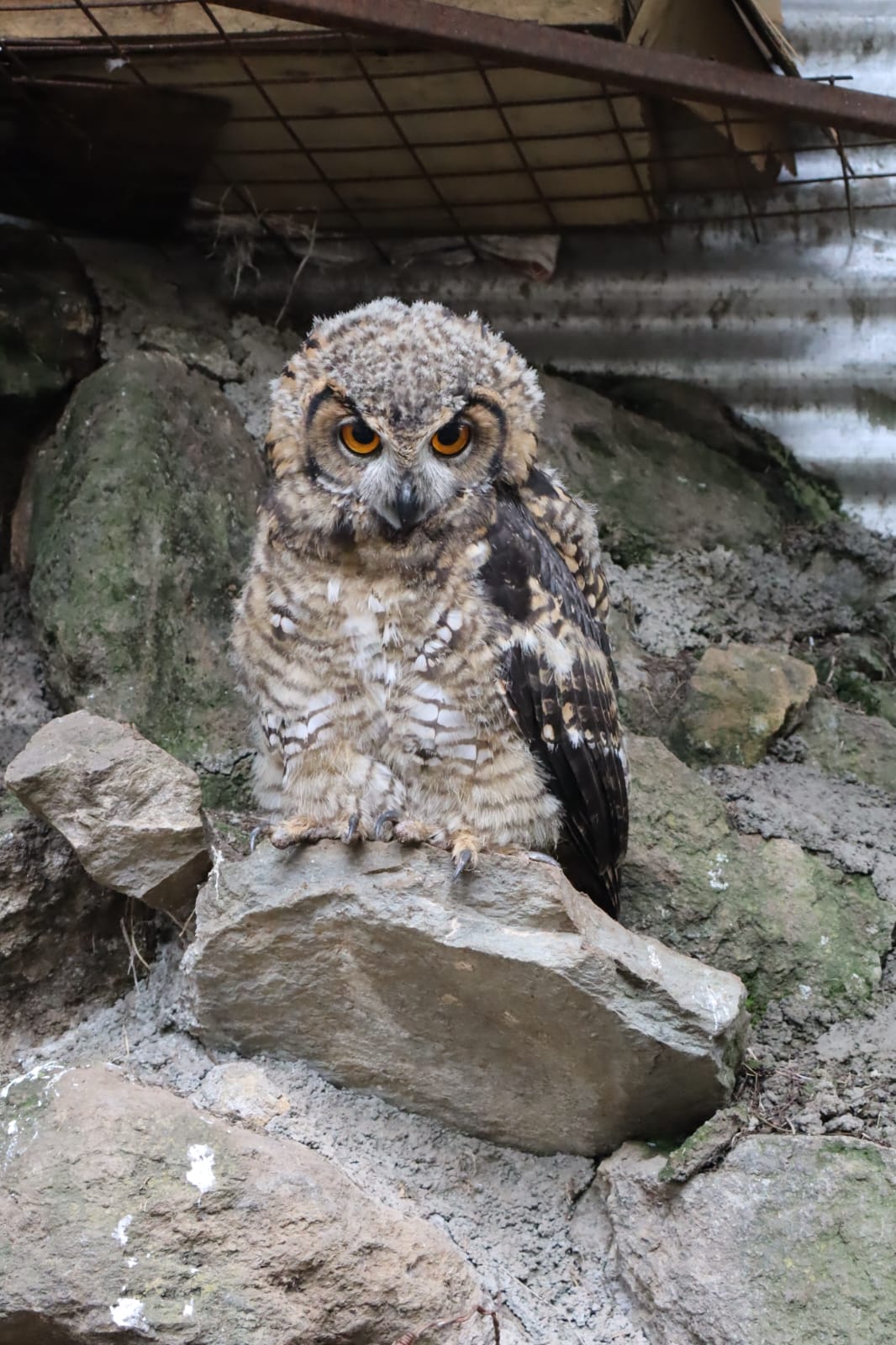 whatsapp image 2026 03 04 at 8.42.40 am