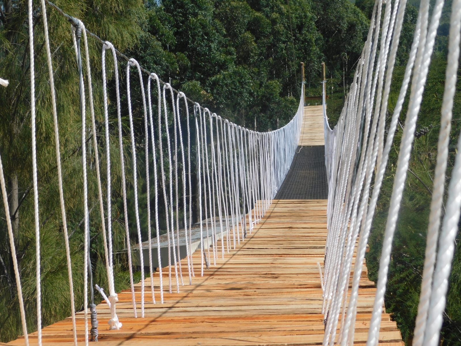 whatsapp image 2026 03 04 at 8.43.53 am (1)